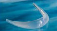 /album/nuestros-productos/extended-anatomical-chin-implant2-jpg/