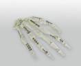 /album/nuestros-productos/hand-modell-jpg/