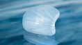 /album/nuestros-productos/temporal-shell-implant-jpg/